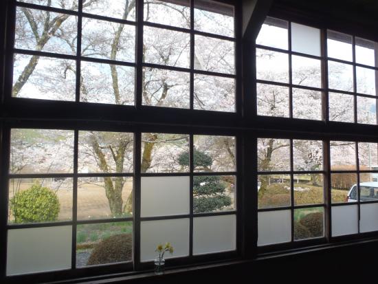 教室の窓から見える桜が美しい。