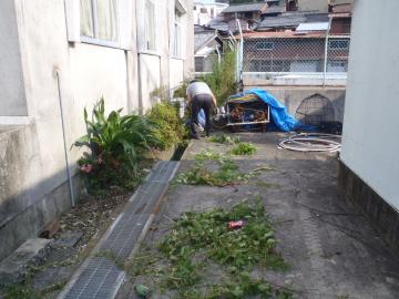 漁協とプールのあいだ