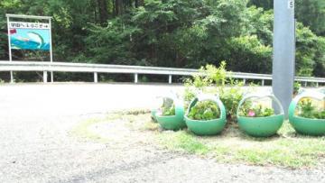 ブリの看板とカエル鉢