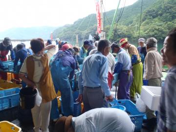 活気にあふれた市場